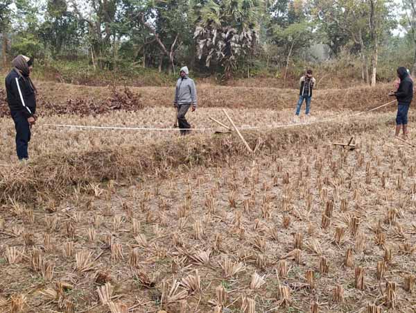 Recent field activities