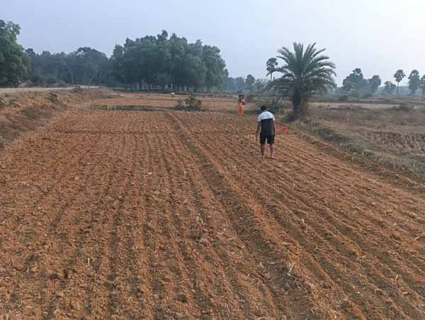 Recent field activities