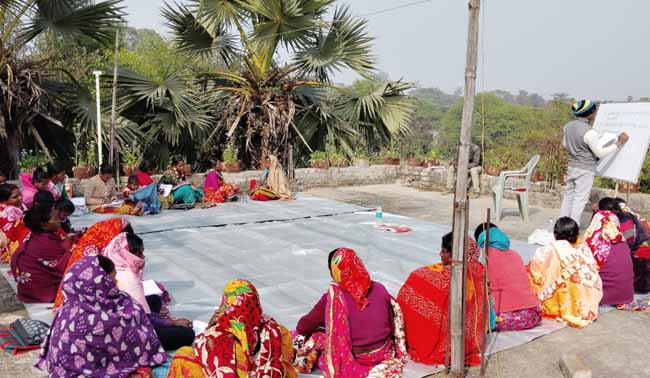 Recent field activities