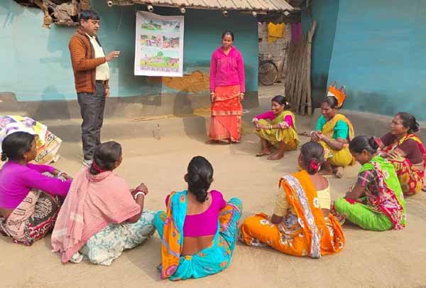 Recent field activities