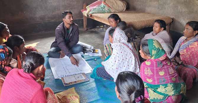 Recent field activities