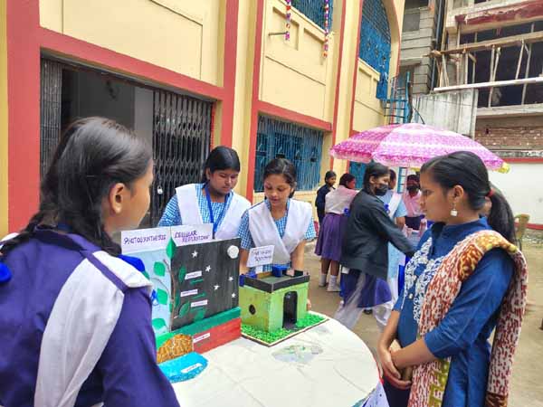 Recent activities in field area