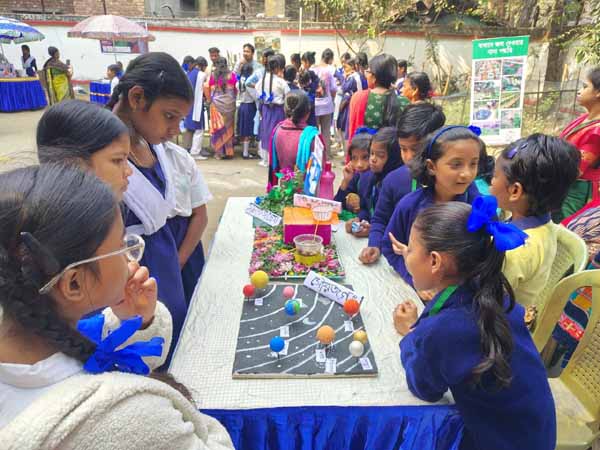 Recent activities in field area