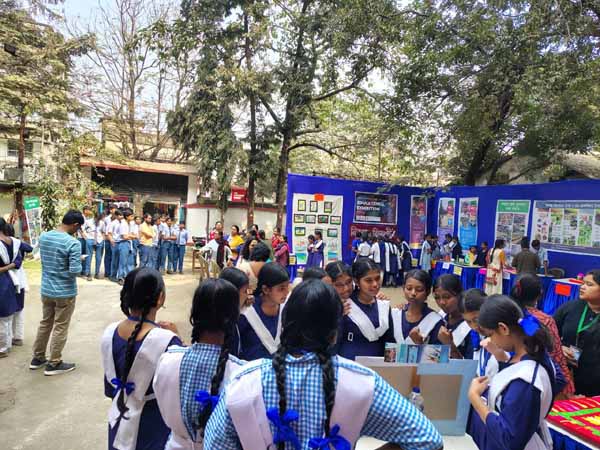 Recent activities in field area